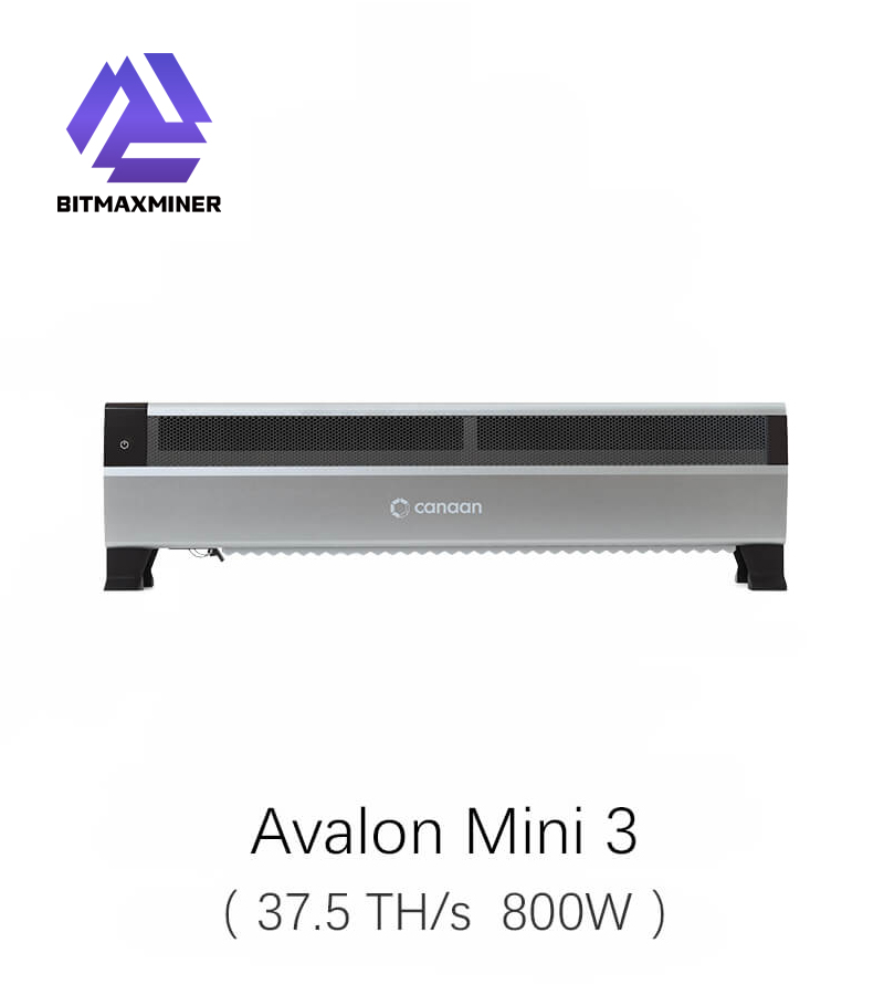 051 Canaan Avalon Mini 3